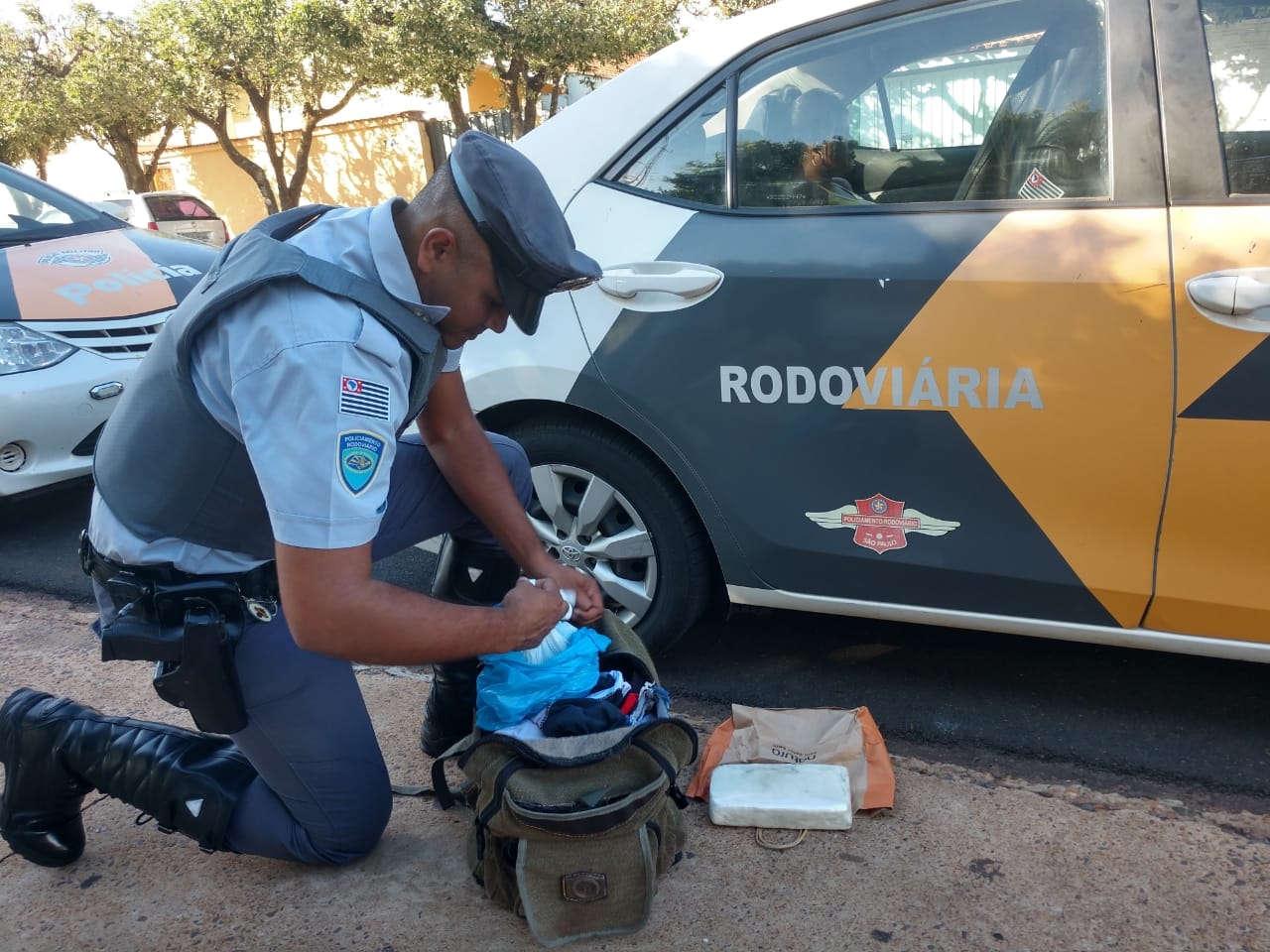Polícia Ambiental captura cobra de quase 2 metros na praça central de Castilho
