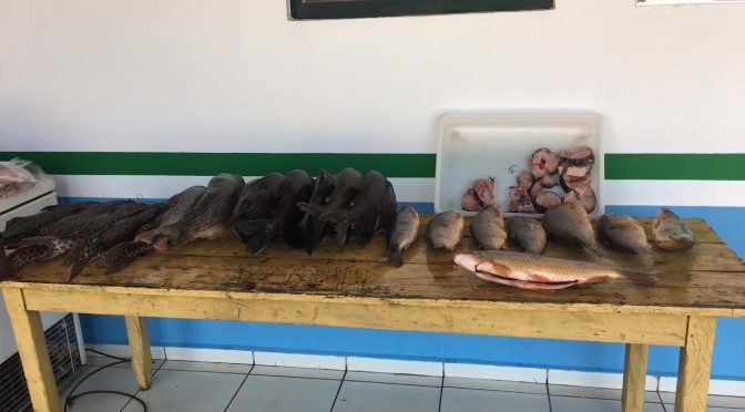 EM ANDRADINA TREINAMENTO DO 20º GB REALIZADO COM O 28º BATALHÃO DA POLÍCIA MILITAR DO INTERIOR