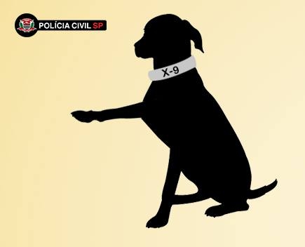 Fala povo: População de Três Lagoas critica a gestão municipal da cidade