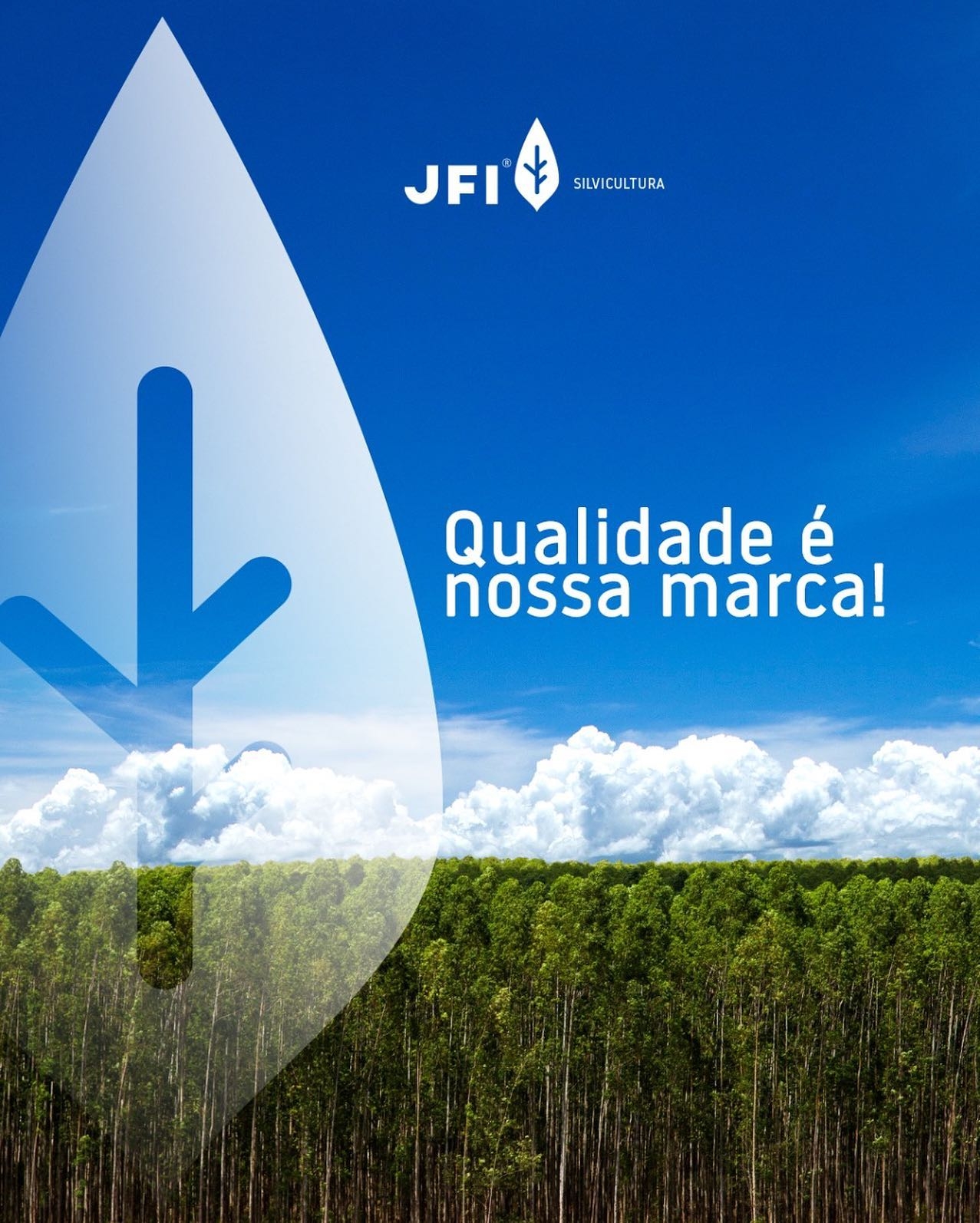 A empresa JFI Silvicultura está com processo seletivo para contratação de 38 trabalhadores de Brasilândia