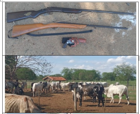 SIG e 2º DP de Três Lagoas prenderam fazendeiro e recuperaram 35 cabeças de gado furtadas em Cassilândia