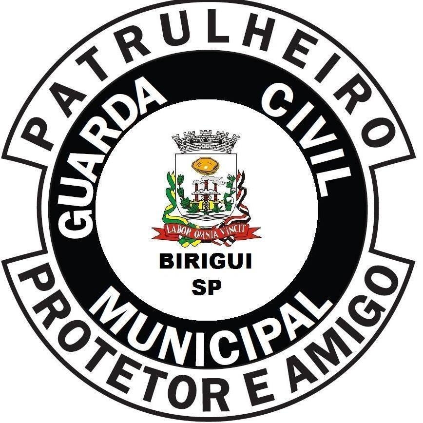 Polícia Municipal de Birigui atualiza mapa estatístico de atendimentos realizados em fevereiro