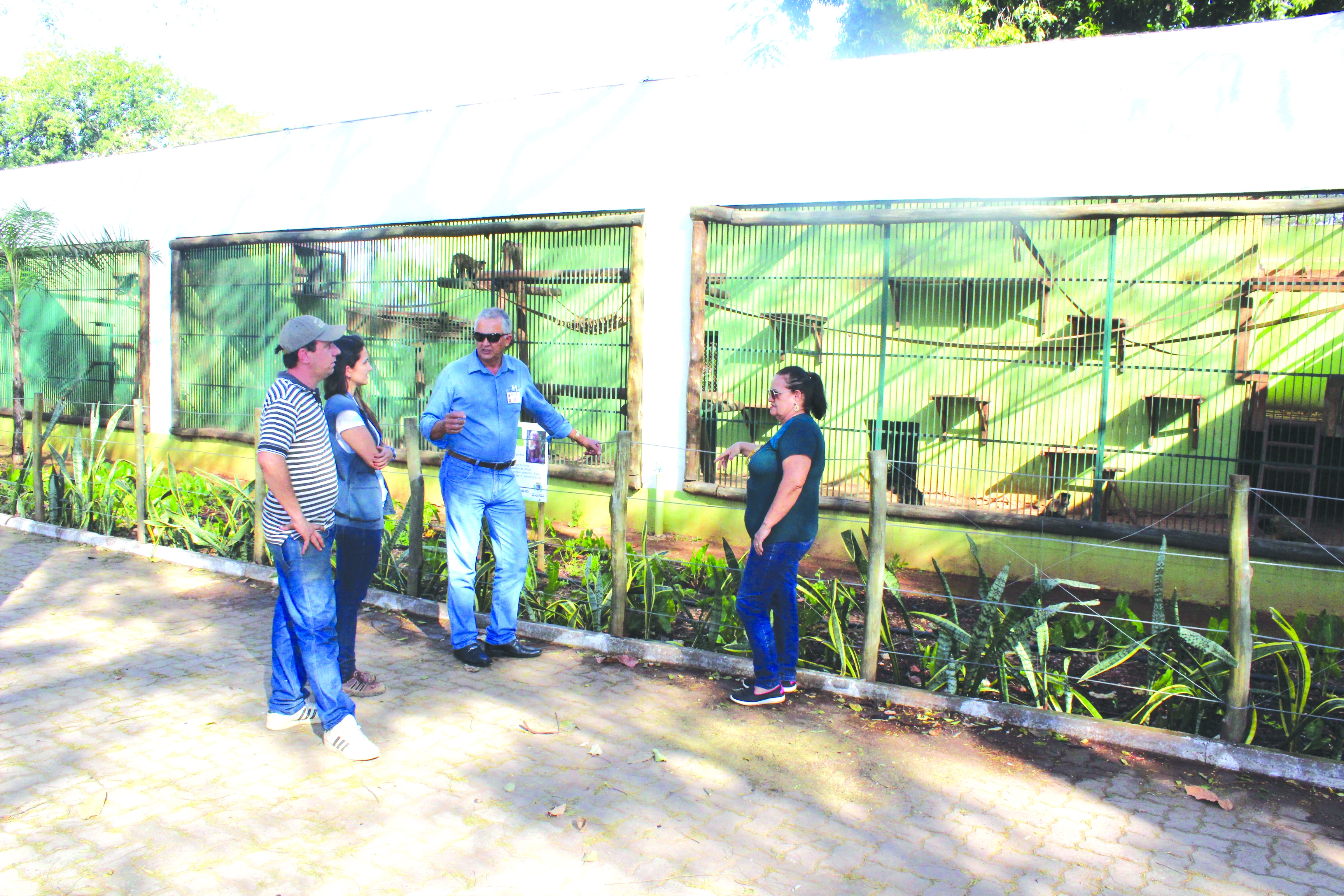Alunos da Escola Antonieta Bim Storti visitam propriedades rurais do Município de Murutinga do Sul