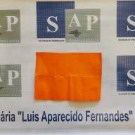 Agentes da Penitenciária 2 de Lavínia apreendem entorpecente K4 com visitante
