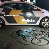 QUATRO CRIMINOSOS SÃO PRESOS POR FURTO EM RUBIÁCEA