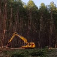 Suzano irá qualificar novas turmas de operadores florestais em Água Clara, 3 Lagoas e Brasilândia