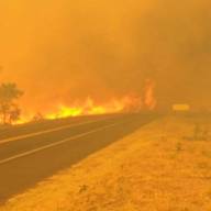 Incêndio no bairro rural Timboré destrói pastagens e plantações em Andradina
