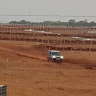 PORTUGUESES INVESTEM R$ 700 MILHÕES EM PEREIRA BARRETO