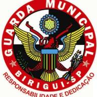 Polícia Municipal de Birigui atualizou seu mapa estatístico mensal
