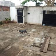POLÍCIA MILITAR DE ANDRADINA UTILIZA DRONE PARA CONSTATAR MAUS-TRATOS A ANIMAL E ELABORA A PRIMEIRA AUTUAÇÃO NO NOVO TALÃO DO CÓDIGO DE POSTURAS DE ANDRADINA