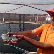 Programa de sustentabilidade consorciado em presídio de Três Lagoas garante indicação ao Prêmio Innovare