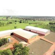 EM MONTE CASTELO URUCUM DO BRASIL JÁ PAGA R$ 9,00 O QUILO