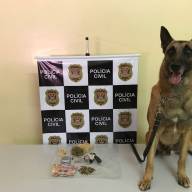 Gestante é presa em Castilho, com arma, drogas e 57 munições