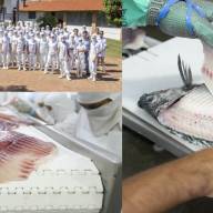 BTJ FOODS de Ilha Solteira tem vagas abertas para auxiliar de produção e refiletador