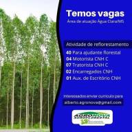 Em Água Clara Agronova Agroflorestal tem 40 vagas de ajudante florestal, 07 vagas de tratorista e outras funções