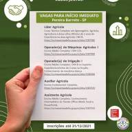 A Usina Santa Adélia está com novas oportunidades para cidade de Pereira Barreto (SP)