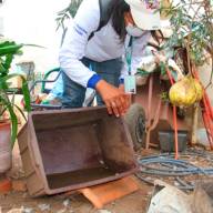 Em Birigui mais de 8,3 mil imóveis já foram vistoriados no mutirão de combate ao mosquito Aedes aegypti