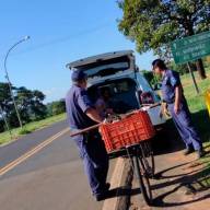 Guarda Municipal de Ilha Solteira prende homem que furtou fios de cobre perto do recinto da Fapic