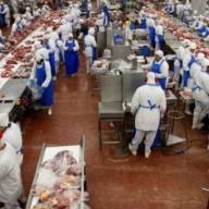 China suspende compras de três grandes frigoríficos em Lins, Promissão e Várzea Grande