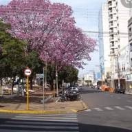 PRAÇA 