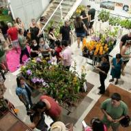 Milhares de pessoas vão ao Centro Cultural de Andradina para o Estação das Artes