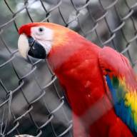 Zoológico de Ilha Solteira retoma programa de visitação nesta terça feira
