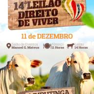 14º Leilão Direito de Viver acontece em Murutinga do Sul