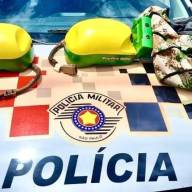 Polícia Militar de SUD MENNUCCI prende em flagrante 02 autores de furto qualificado
