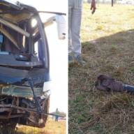 Motorista de ônibus da Viação Motta morre em acidente na BR-262 em Três Lagoas