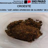 Agentes da Penitenciária de Andradina apreendem maconha com visitante
