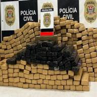 Polícia Civil prende em flagrante indivíduo que transportava 394 tijolos de maconha pela região central da Capital