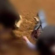 Homem morre ao ser pisoteado por gado em sítio no Assentamento Cafeeira em Castilho