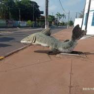 Monumento de peixe pintado é alvo de vandalismo em Castilho