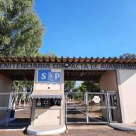 JOVEM É PRESA TENTANDO ENTRAR COM DROGAS NA PENITENCIÁRIA DE AVANHANDAVA