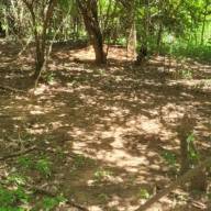 Em Guararapes Polícia Ambiental multa propriedade em 10 mil reais