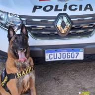 12° BAEP de Araçatuba: APOIO AO POLICIAMENTO DE ÁREA RESULTA EM APREENSÃO DE DROGAS E UM INDIVÍDUO PRESO