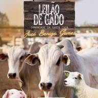 Leilão de Gado em prol da Santa Casa de Sud Mennucci