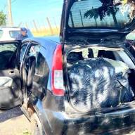 MORADOR DE NOVA ALVORADA DO SUL PRESO POR DESCAMINHO PELA POLÍCIA MILITAR DE CASTILHO