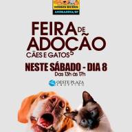 Em Andradina Feira de Adoção de Cães e Gatos neste sábado no Oeste Plaza Shopping
