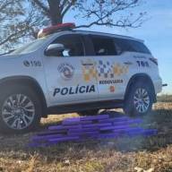 TOR PRENDE RAPAZ COM TIJOLOS DE MACONHA ESCONDIDOS EM BOLSAS DENTRO DE ÔNIBUS; ABORDAGEM OCORREU NA RODOVIA ASSIS CHATEAUBRIAND EM PENÁPOLIS