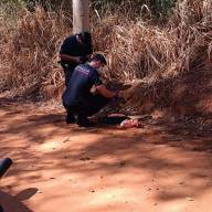 Polícia Civil de Rubiácea tenta identificar mãe de recém-nascido encontrado morto em estrada