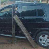 GARRAS apreende 12 cabeças de gado em Três Lagoas