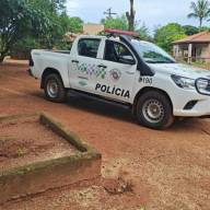 Polícia Ambiental aplica multa de R$1.800 por corte irregular de árvores nativas em Andradina