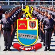 AÇÃO RÁPIDA DA POLICIA MILITAR, EVITA TRAGÉDIA EM ANDRADINA