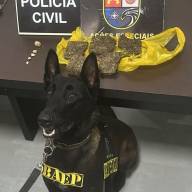 POLÍCIA CIVIL PRENDE DOIS HOMENS EM FLAGRANTE POR TRÁFICO DE DROGAS EM PIRAPOZINHO COM APOIO DO CANIL DO BAEP