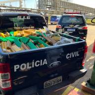 3° DP de Três Lagoas incinera 1 tonelada de drogas avaliada em mais de R$ 2 milhões