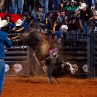 Andradinense Caio Fazan vence 2º round das montarias em touros do 32º Barretos International Rodeo