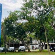 Três Lagoas tem falha na atualização de boletins de pessoas desaparecidas