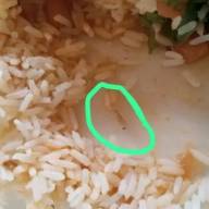 PAIS DENUNCIAM PROBLEMAS DE HIGIENE EM MERENDA E BEBEDOURO DE ESCOLA EM TRÊS LAGOAS
