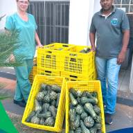 Santa Casa de Birigui recebe doação de alimentos de agricultores de Santópolis